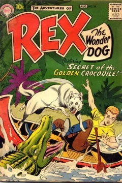 Secret of the Golden Crocodile