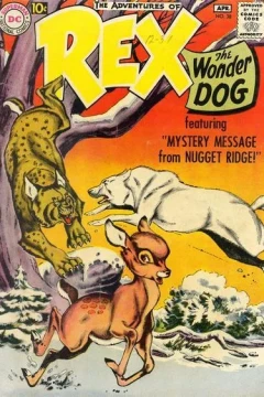 Mystery Message from Nugget Ridge