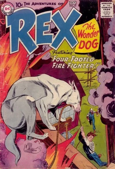 Cover of Four-Footed Fire Fighter