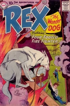 Four-Footed Fire Fighter