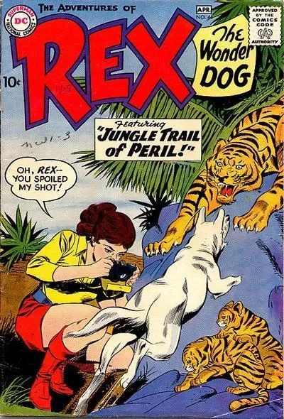 Cover of Jungle Trail of Peril
