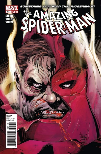 Cover of Something Can Stop the Juggernaut