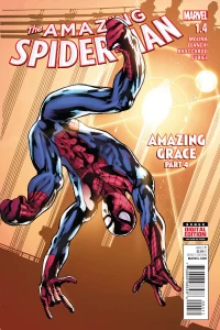 Amazing Grace Part Four: Within the Veil