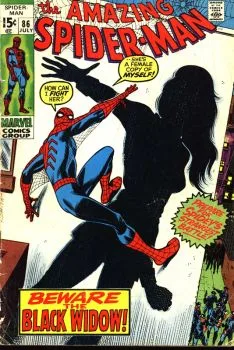 Cover of Beware the Black Widow!