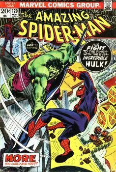 Cover of The Fight and the Fury