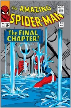 Cover of The Final Chapter