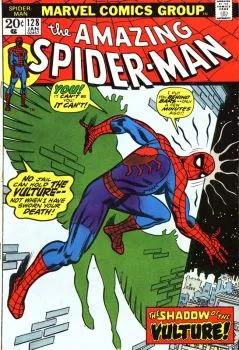 Cover of The Vulture Hangs High
