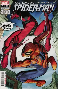 Cover of Beyond Chapter Seven
