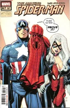 Cover of Beyond Chapter Thirteen