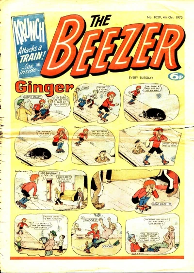 Cover of Issue #1029