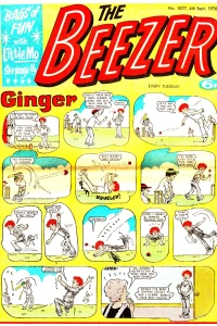 Issue #1077
