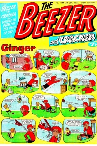Issue #1144