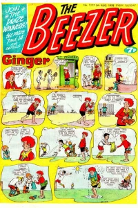 Issue #1177