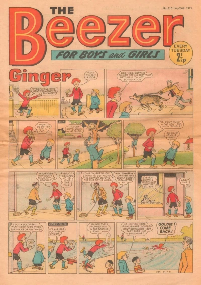 Cover of Issue #810