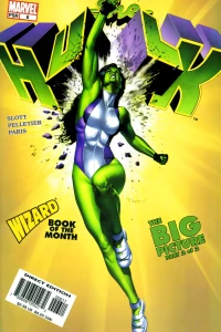 The Big Picture Part 2: Minor Implications