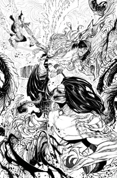 Cover of Cover D