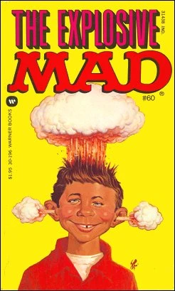 Cover of The Explosive Mad
