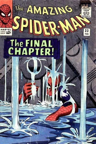 Cover of The Final Chapter