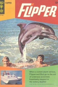 The Final Test - The Runaway