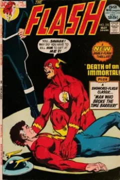 The Flash (Volume 2)