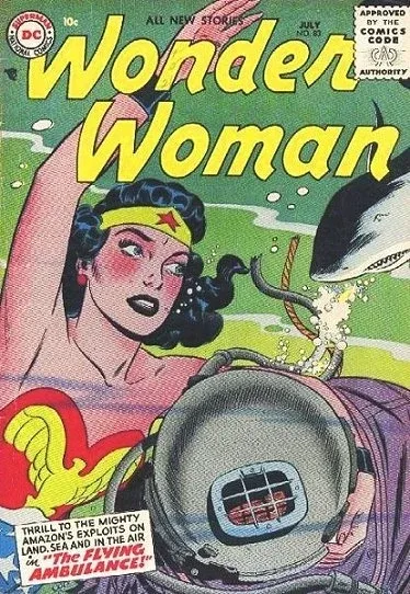 Cover of The Flying Ambulance