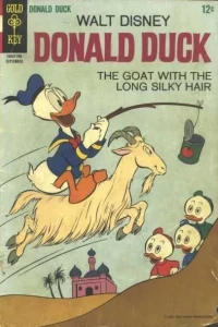 The Goat With the Long Silky Hair