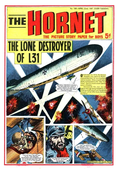 Cover of The Lone Destroyer of L31