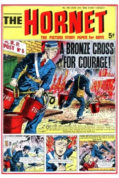 A Bronze Cross for Courage!