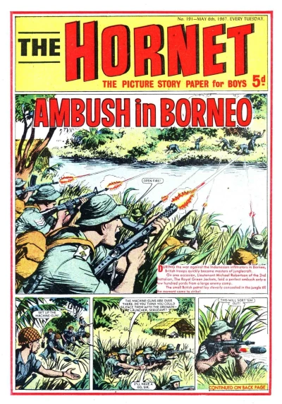 Cover of Ambush in Borneo