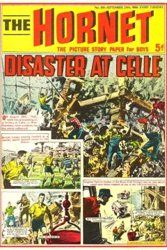 Disaster at Celle