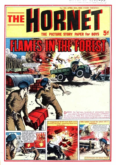 Cover of Flames in the Forest