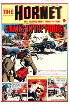 Flames in the Forest