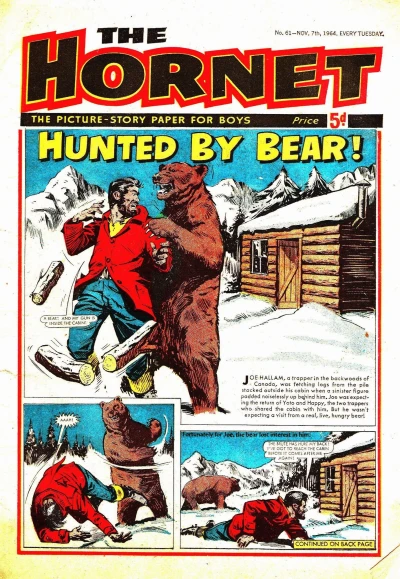 Cover of Hunted By Bear!