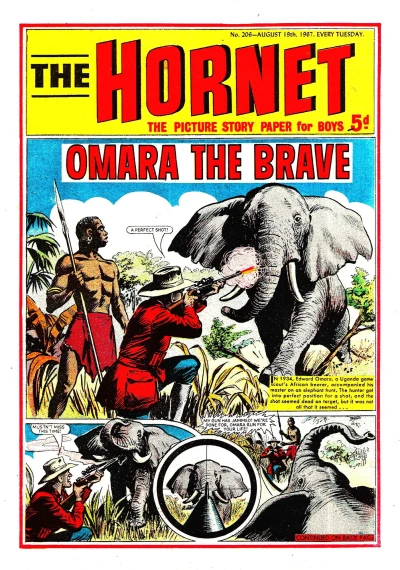 Cover of Omara the Brave