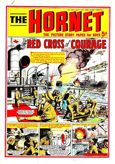 Cover of Red Cross of Courage