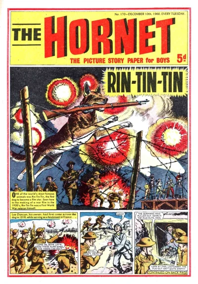 Cover of Rin-Tin-Tin