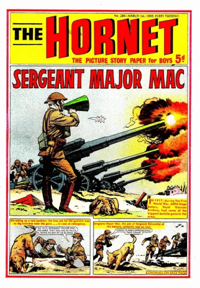 Cover of Sergeant Major Mac