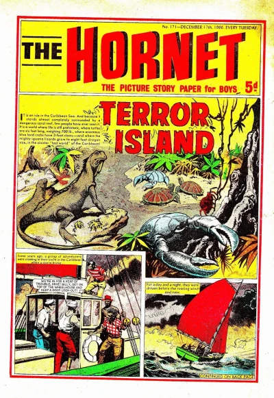 Cover of Terror Island
