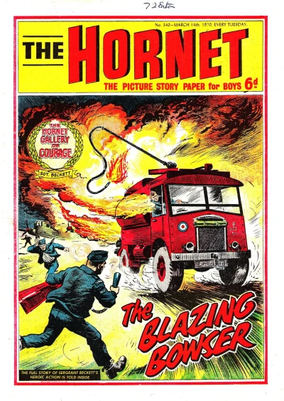 Cover of The Blazing Bowser