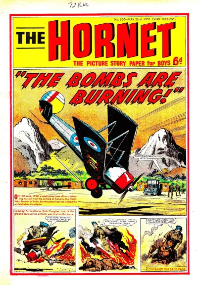 Cover of "The Bombs are Burning!"