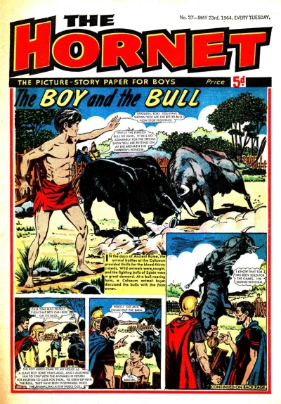 Cover of The Boy and the Bull