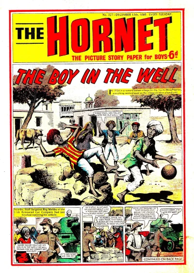 Cover of The Boy in the Well