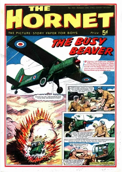 Cover of The Busy Beaver