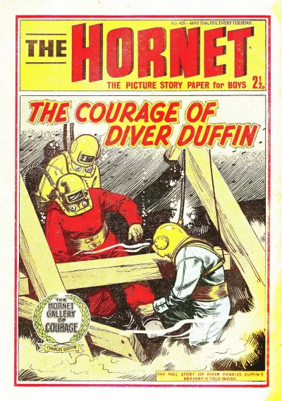 Cover of The Courage of Diver Duffin