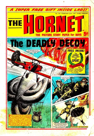 Cover of The Deadly Decoy