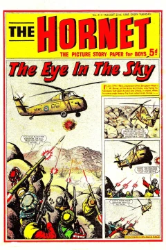 The Eye in the Sky