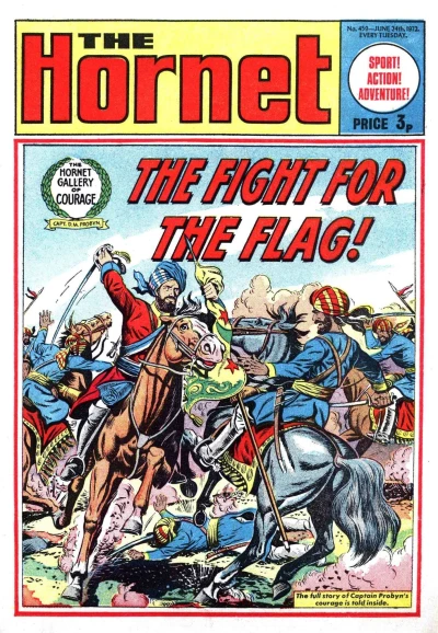 Cover of The Fight for the Flag!