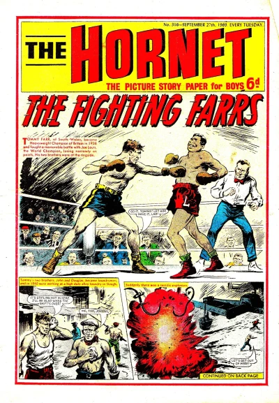 Cover of The Fighting Farrs