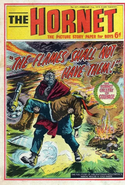Cover of "The Flames Shall Not Have Them!"