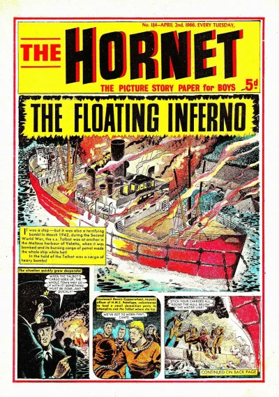 Cover of The Floating Inferno